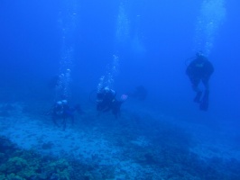 29  Divers IMG 2740